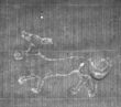 Wasserzeichen FR7600-530_3