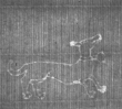 Wasserzeichen FR7600-530_57