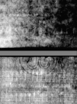 Wasserzeichen DE5580-4Muspr108Beibd2Cantus_A1