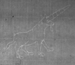 Wasserzeichen FR7600-607_3