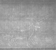 Wasserzeichen FR7600-607_52