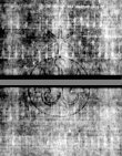 Wasserzeichen DE5580-4Muspr108Beibd1Bassus_H1