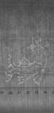 Wasserzeichen FR7600-612_44