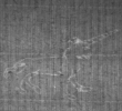 Wasserzeichen FR7600-612_194