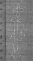 Wasserzeichen FR7600-651_120