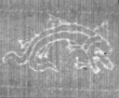 Wasserzeichen FR7600-653_44