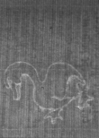 Wasserzeichen FR7600-654_16