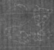 Wasserzeichen FR7600-654_151