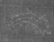 Wasserzeichen FR7600-654_233