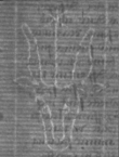 Wasserzeichen FR7600-661_68