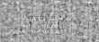 Wasserzeichen DE4795-GoS627_27