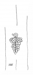 Wasserzeichen DE8310-Mc16_262