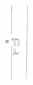 Wasserzeichen DE8310-Mc29_78