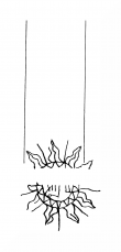 DE8310-Mc48_999b - Typ:0 - ID: 162603 - Eintrag Nr.: 3 Wasserzeichen DE8310-Mc48_999b