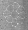 Wasserzeichen FR7600-482_2