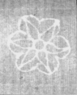 Wasserzeichen FR7600-482_78
