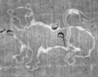 Wasserzeichen FR7600-496_129