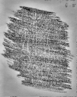 Wasserzeichen FR2500-Ms304_5
