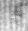 Wasserzeichen DE4795-GoS634_999a