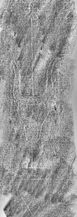 Wasserzeichen DE6720-Pa95_187r