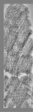 Wasserzeichen DE6720-Pa95_228r