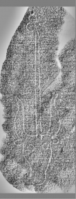 Wasserzeichen DE6720-Pa95_236r