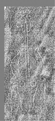 DE6720-Pa95_317r - Typ:0 - ID: 162708 - Eintrag Nr.: 196 Wasserzeichen DE6720-Pa95_317r