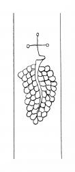 Wasserzeichen DE8310-Mc57_148
