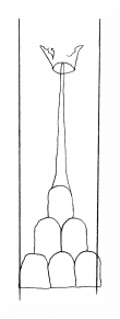 Wasserzeichen DE8310-Mc63_253