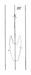 Wasserzeichen DE8310-Mc63_81