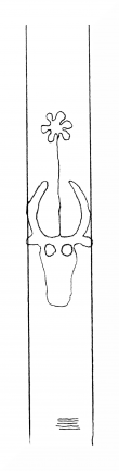 Wasserzeichen DE8310-Mc71_7