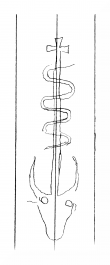 DE8310-Mc73_6 - Typ:0 - ID: 162918 - Eintrag Nr.: 88 Wasserzeichen DE8310-Mc73_6