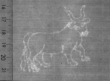 Wasserzeichen FR7600-516_G