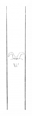 Wasserzeichen DE8310-Mc103_153