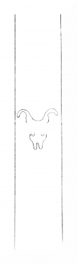 Wasserzeichen DE8310-Mc103_156