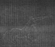 Wasserzeichen FR7600-200_85