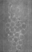 Wasserzeichen FR7600-200_C