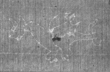 Wasserzeichen FR7600-514_24