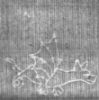 Wasserzeichen FR7600-514_71