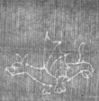 Wasserzeichen FR7600-514_76