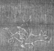 Wasserzeichen FR7600-514_78