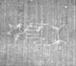 Wasserzeichen FR7600-539_3