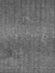 Wasserzeichen FR7600-705_6