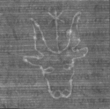 Wasserzeichen FR7600-711_K