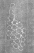 Wasserzeichen FR7600-711_A