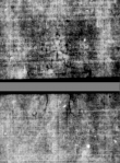 Wasserzeichen DE5580-4Muspr113_D3