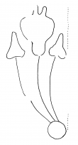 Wasserzeichen DE2475-CA_2°_254_28