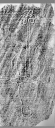 DE0960-Mlf256_49r - Typ:0 - ID: 163415 - Eintrag Nr.: 201 Wasserzeichen DE0960-Mlf256_49r