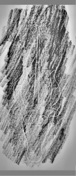 DE0960-Mlf256_53r - Typ:0 - ID: 163416 - Eintrag Nr.: 202 Wasserzeichen DE0960-Mlf256_53r