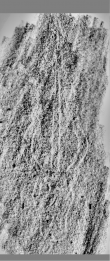 Wasserzeichen DE0960-Mlf256_126r
